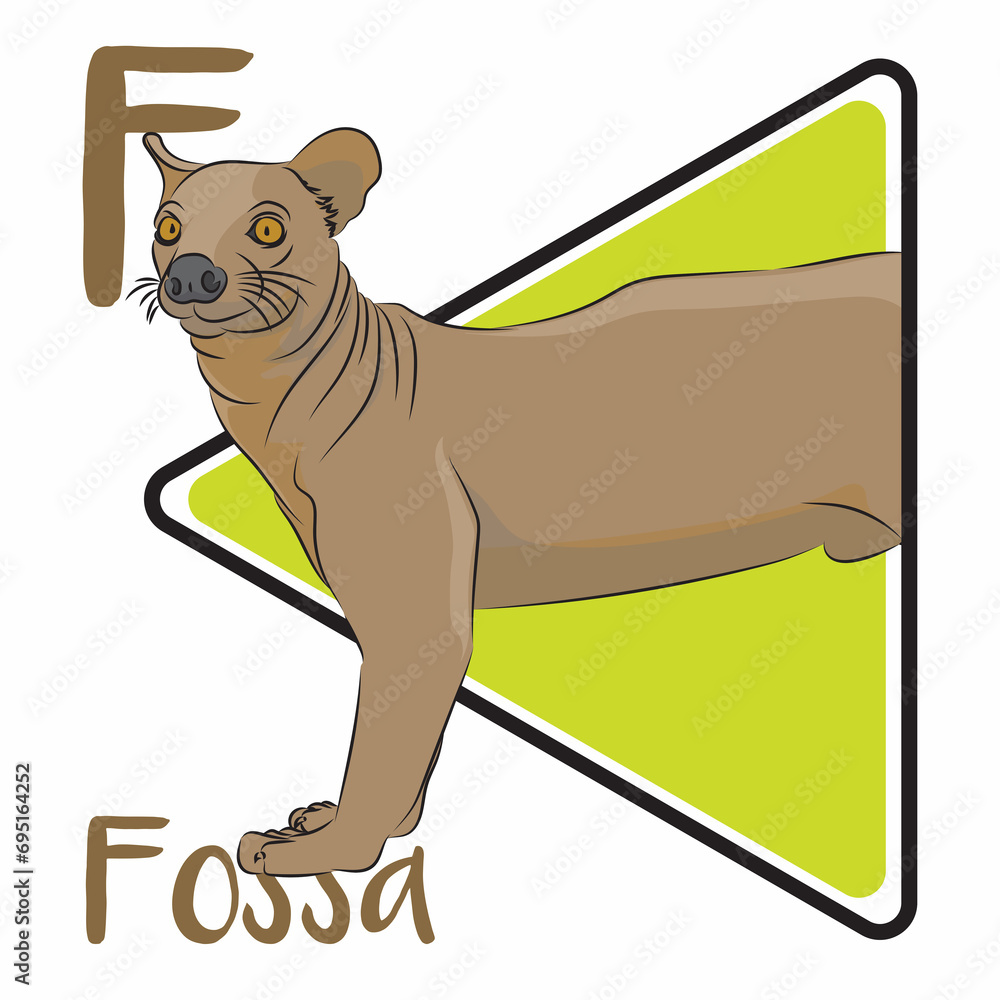 Fossa is the largest carnivore and top predator native to Madagascar