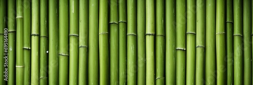 Green bamboo texture for interior or exterior design  bamboo fence texture background.