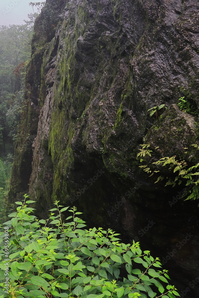 rocky cliff side and tropical forest on himalayan foothills area near darjeeling in west bengal, india rocky cliff side and tropical forest on himalayan foothills area near darjeeling in west bengal, india