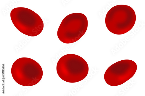 blood platelets vector png photo
