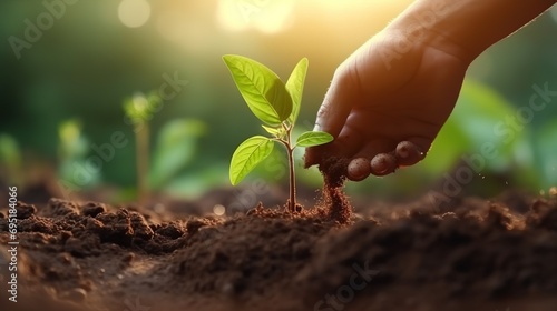 Hands Planting A Sprout. Clean Environment, Environmental Protection, Environment Earth Day 