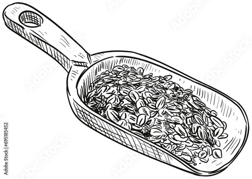 oats handdrawn illustration