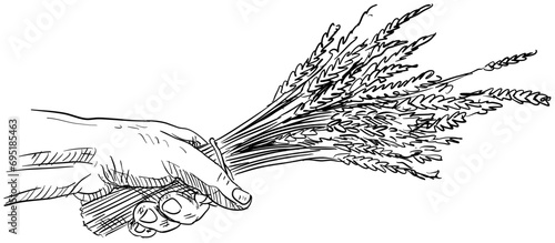 oats handdrawn illustration