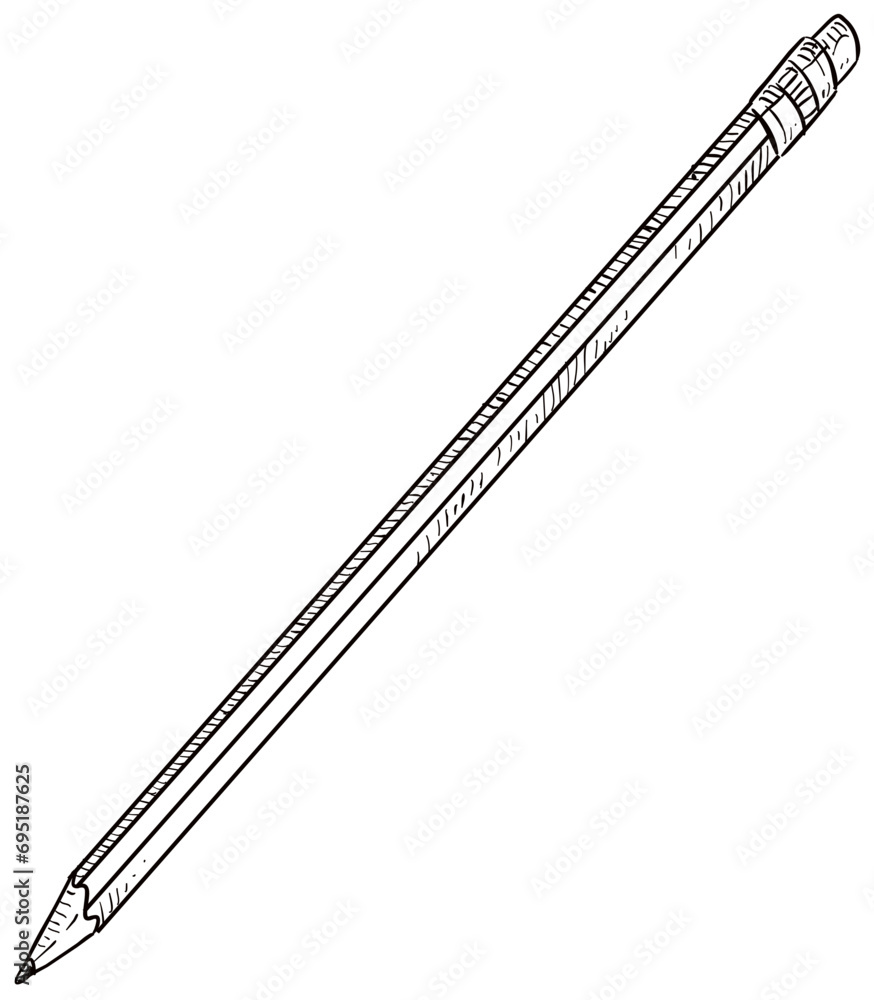 pencil handdrawn illustration pencil handdrawn illustration