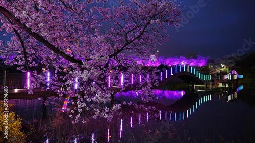 Spring night view of Gyeongju  Korea
