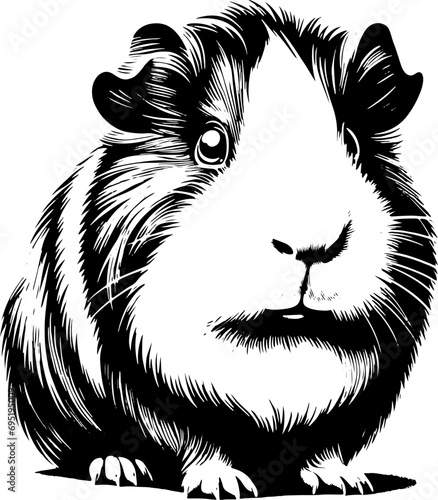 Peruvian Guinea Pig icon 7