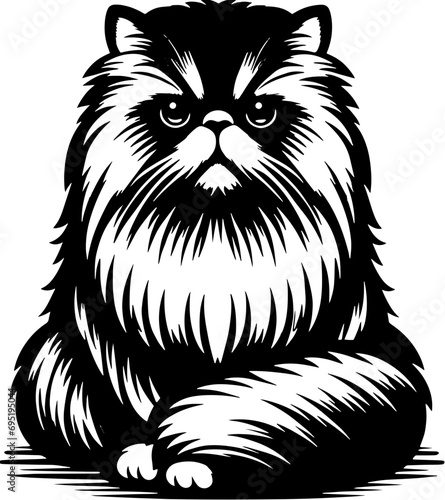 Persian Cat icon 8 photo