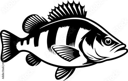 Perch Fish icon 13