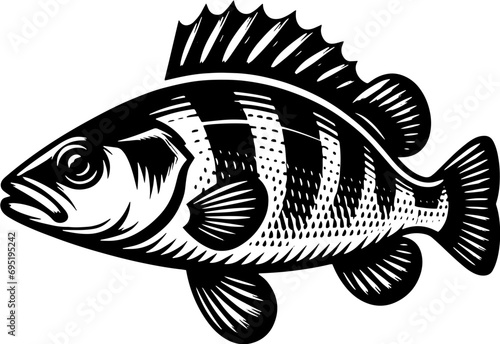 Perch Fish icon 7
