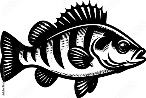Perch Fish icon 5