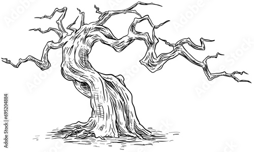 dead tree handdrawn illustration