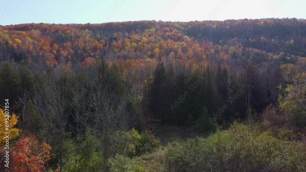 Aerial rising revealing forest during autumn on sunny day. Colorful leaves Aerial rising revealing forest during autumn on sunny day. Colorful leaves