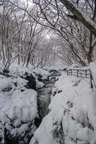 雪の中の沢 ©  Aveyasuhiro 