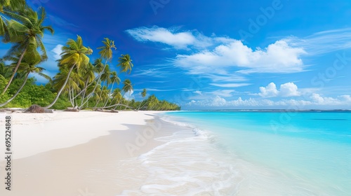 Beautiful tropical beach with white sand and palm trees