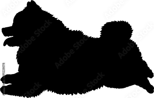 Pomeranian spitz lies High quality Dog silhouette Breeds Bundle Dogs on the move. Dogs in different poses.
The dog jumps, the dog runs. The dog is sitting. The dog is lying down. The dog is playing