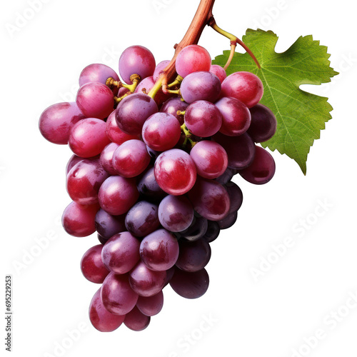 Bunch of Grapes Isolated on Transparent or White Background, PNG