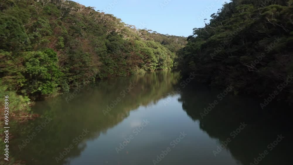 Drone flying along a tree lined river Drone flying along a tree lined river