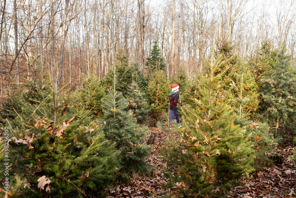 Fototapeta premium Boy wearing a Santa hat walking in a tree farm