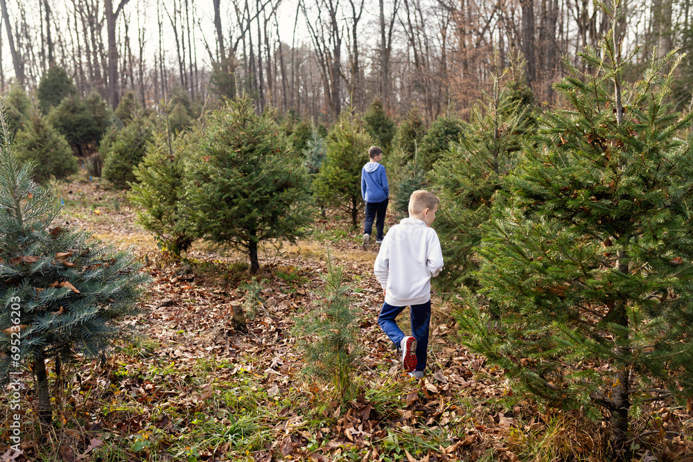 Two young boys searching for the perfect Christmas Tree Two young boys searching for the perfect Christmas Tree