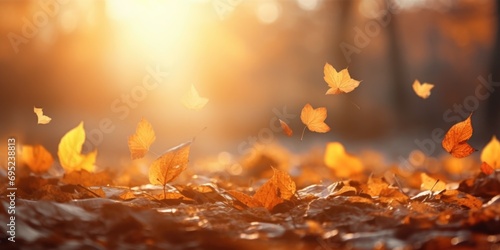 A bunch of leaves floating and flying in the air. Perfect for nature and autumn-themed designs