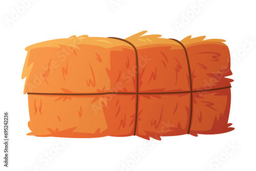 Hay Bale Tied with Rope as Dried Grass for Fodder Vector Illustration