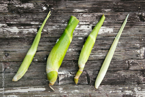 Water bamboo, makomodake or makomo is a japanese vegetable with a harvest season in Autumn.  photo