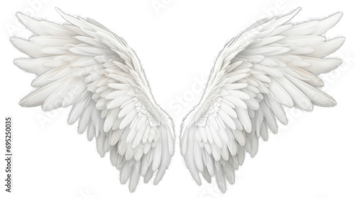 White wings isolated on a transparent background. photo