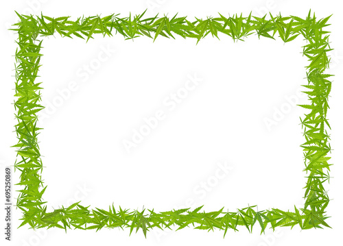 The rectangular frame is made of cannabis leaves. Marijuana frame for design place for text. Hemp postcard concept. Medical marijuana clearance pattern.