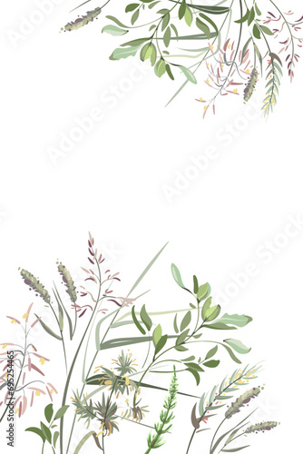 Colorful hand drawn sketch of grass. Set of plants on a light background. Medical herb and spice. Vintage grass branch. Frame 
