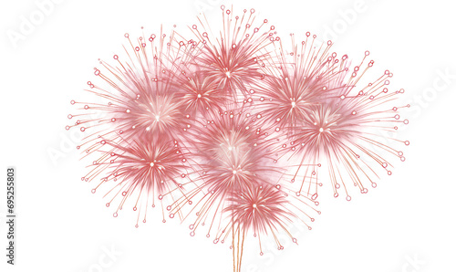 fireworks in the form of heart