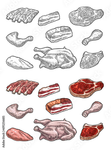 Set meat products. Brisket, steak, chicken leg, ribs wing, and breast halves. Vintage color and black vector engraving illustration. Isolated on white background.
