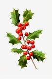 A branch of holly with vibrant red berries and lush green leaves. Perfect for holiday decorations and festive designs