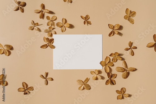 Paper sheet card with blank mockup copy space and dried star flower buds on beige background