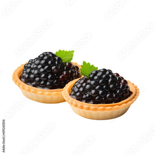 Black caviar pie isolated on transparent background