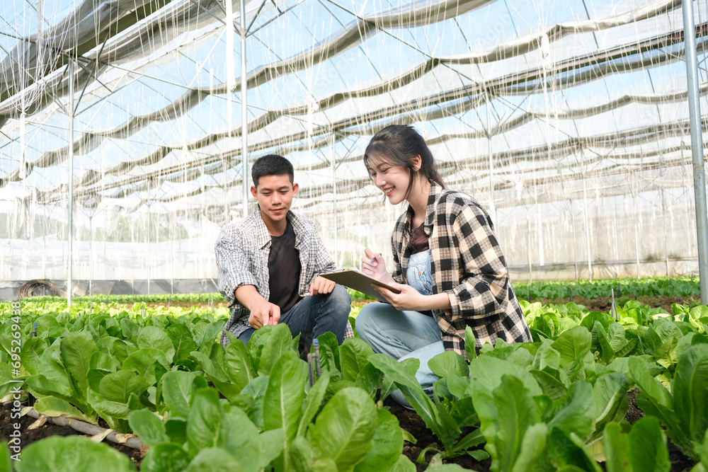 Two young asian couple farmers working in vegetables hydroponic farm with happiness Two young asian couple farmers working in vegetables hydroponic farm with happiness