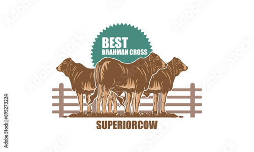YOUNG CATTLE BRAHMAN CROSS BREEDING LOGO, silhouette of healthy and happy cow vector illustrations