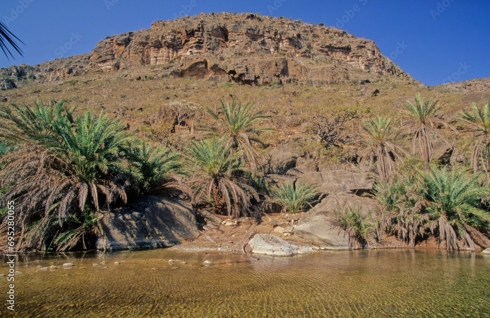 Wadi Desmo Socotra Island Wadi Desmo Socotra Island