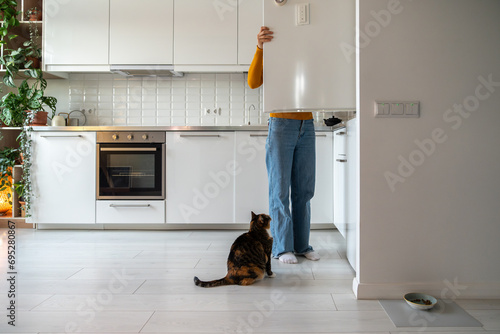 Hungry curious fat cat begging for food from refrigerator sitting on floor on kitchen at home looking at pet owner. Domestic animal asks for snack to woman taking products from fridge. Pet behavior.  photo