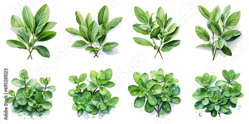 exotic plant leaves Artificial Intelligence Generative photo