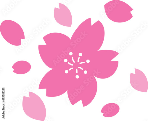 桜の花と花びら
