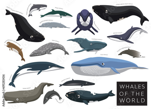 Whales of the World Set Cartoon Vector Character photo