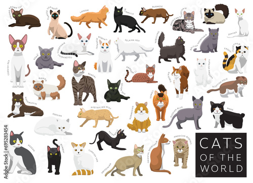 Fotografie Cats of the World Set Cartoon Vector Character