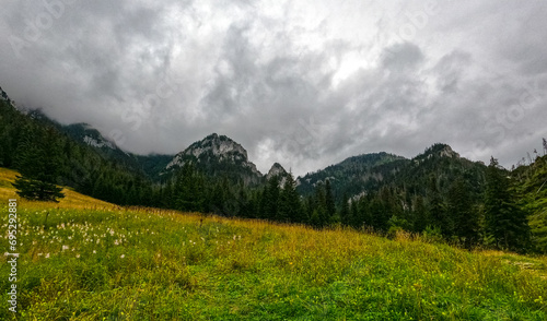 mountain view panorama landscape Poland Zakopane © Андрей Трубицын