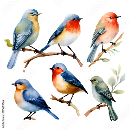 Forest Birds Watercolor Set