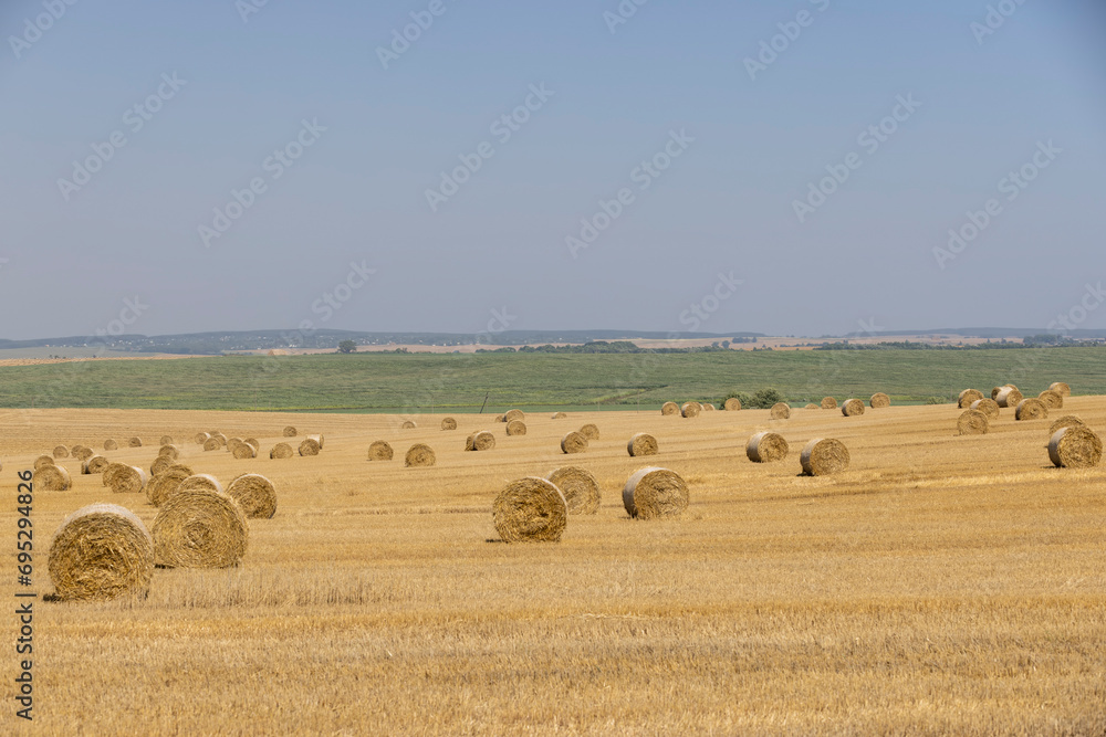 stacks of wheat straw in the field after harvest