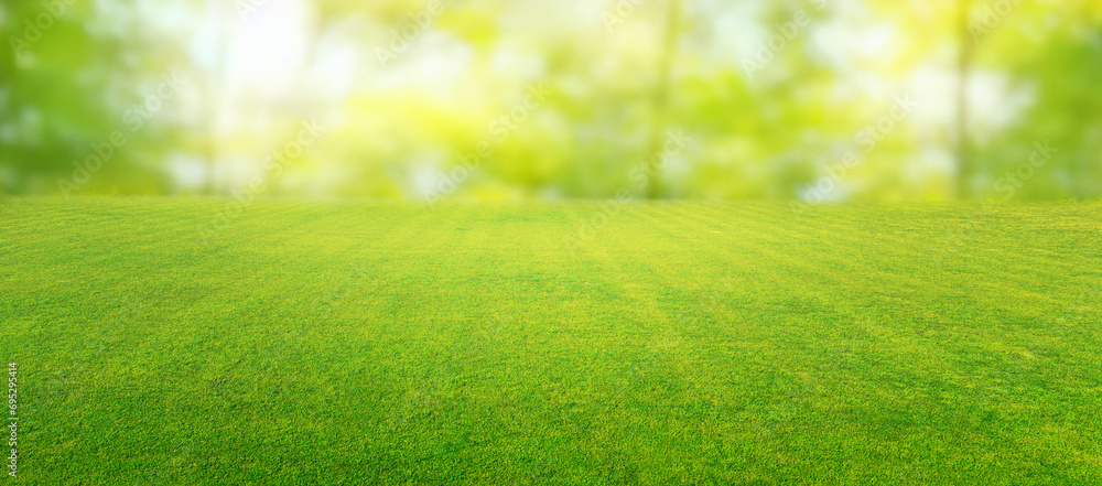 Beautiful summer natural landscape with lawn with cut fresh grass in early morning with light fog. Panoramic spring background. - obrazy, fototapety, plakaty 