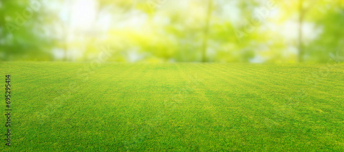Beautiful summer natural landscape with lawn with cut fresh grass in early morning with light fog. Panoramic spring background. photo