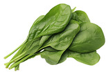 Bundle of fresh spinach on transparent background