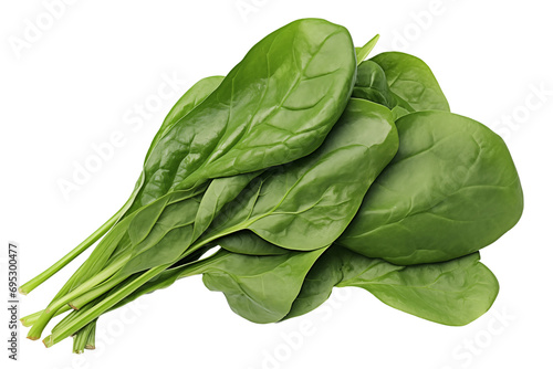 Bundle of fresh spinach on transparent background photo