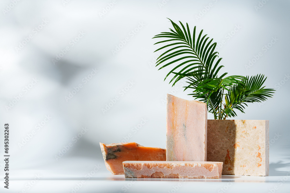 Granite stone with branch green leaf on studio background